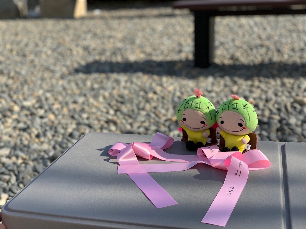 f:id:etal_p:20190302222159j:image f:id:etal_p:20190302222159j:image