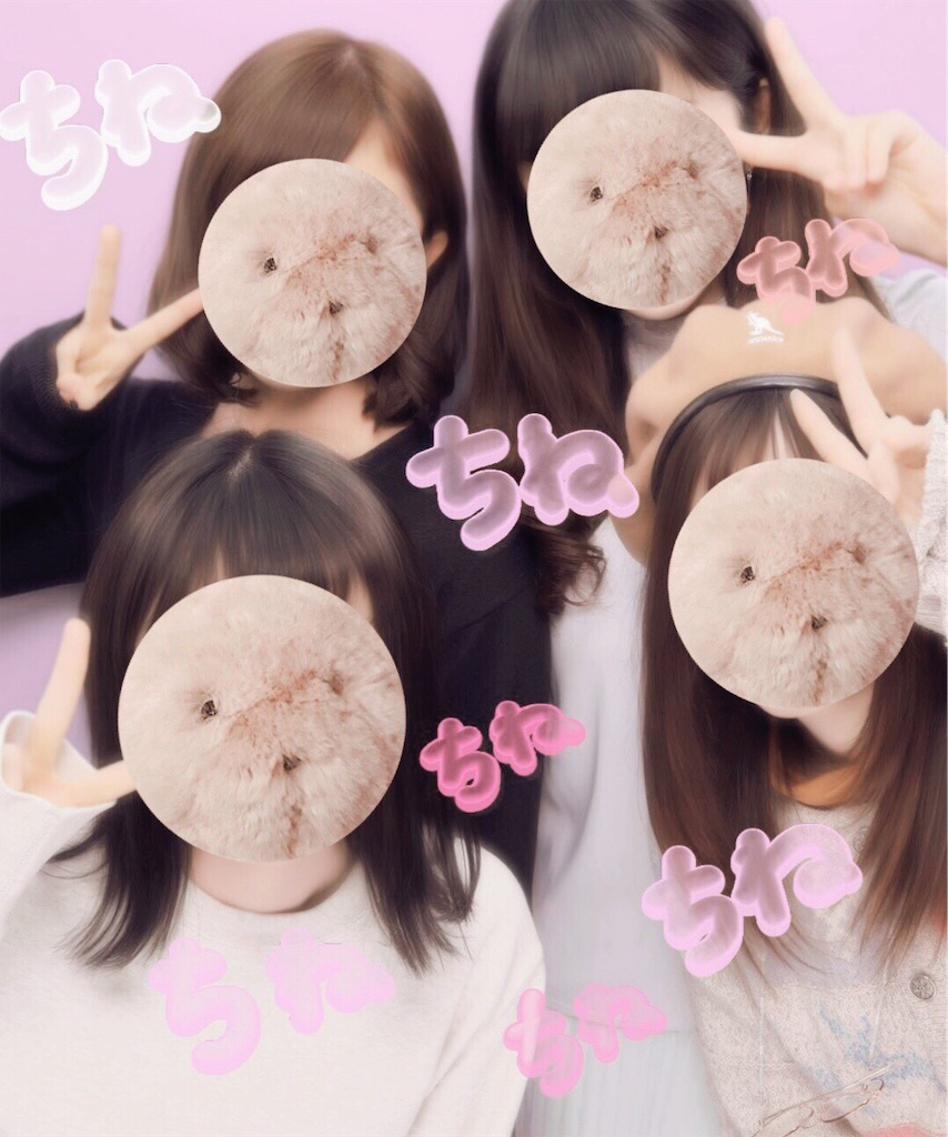 f:id:etal_p:20190303143638j:image f:id:etal_p:20190303143638j:image