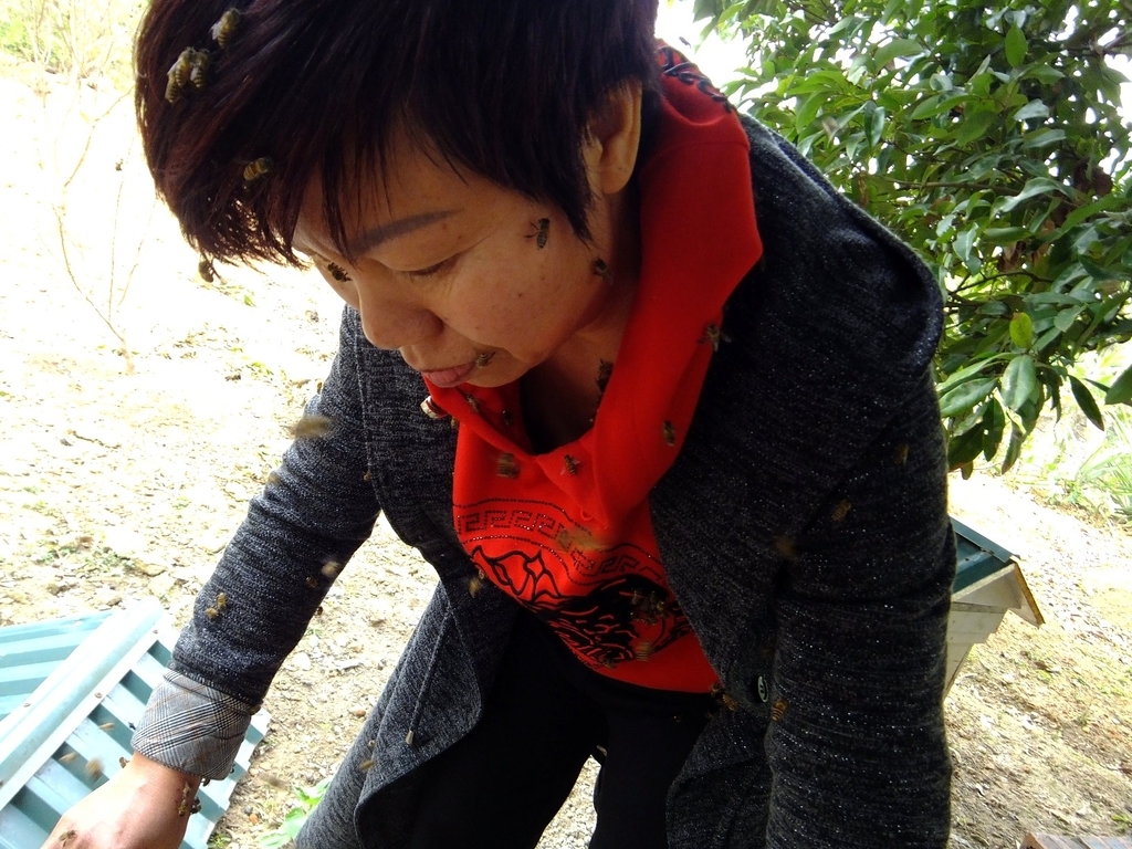 f:id:eternalmarriage:20190131223644j:plain f:id:eternalmarriage:20190131223644j:plain