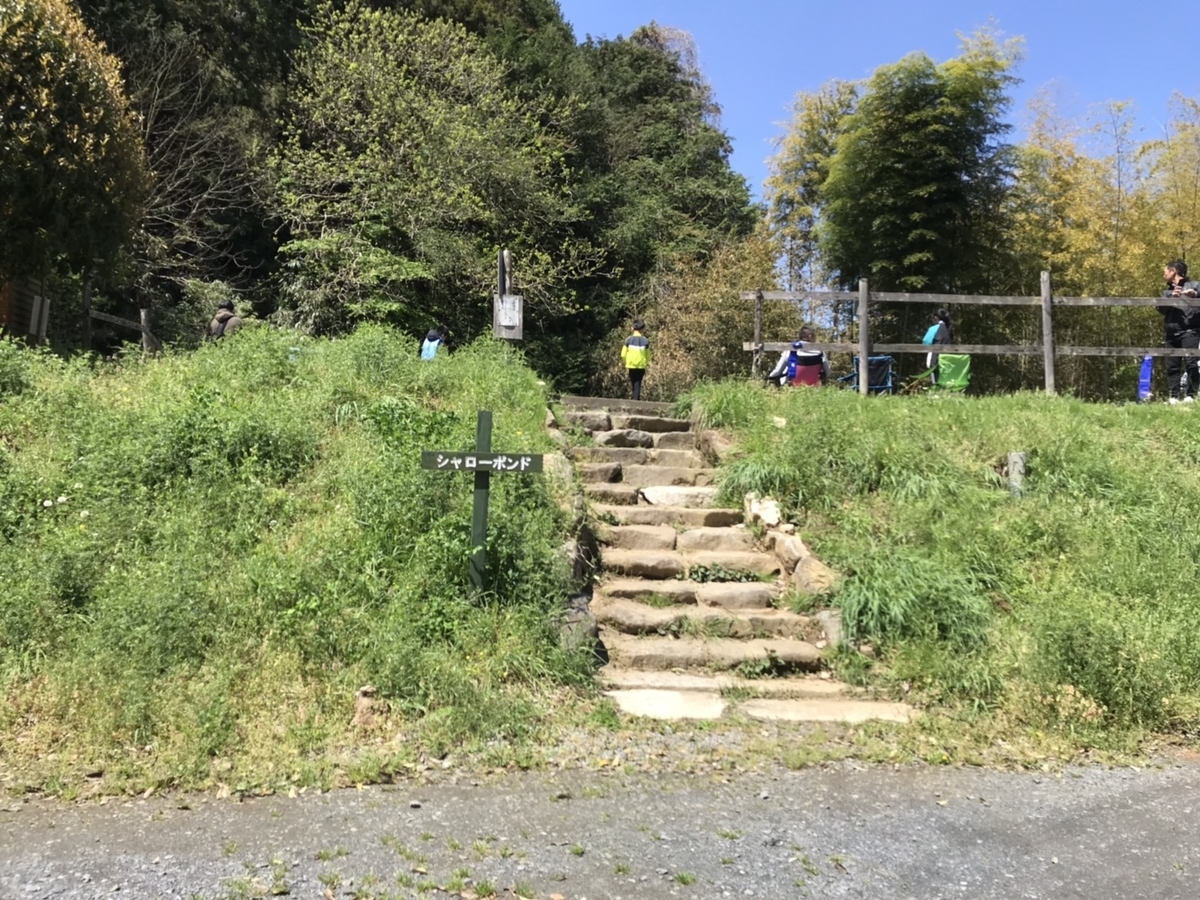 f:id:eternalsekai:20190429215034j:plain