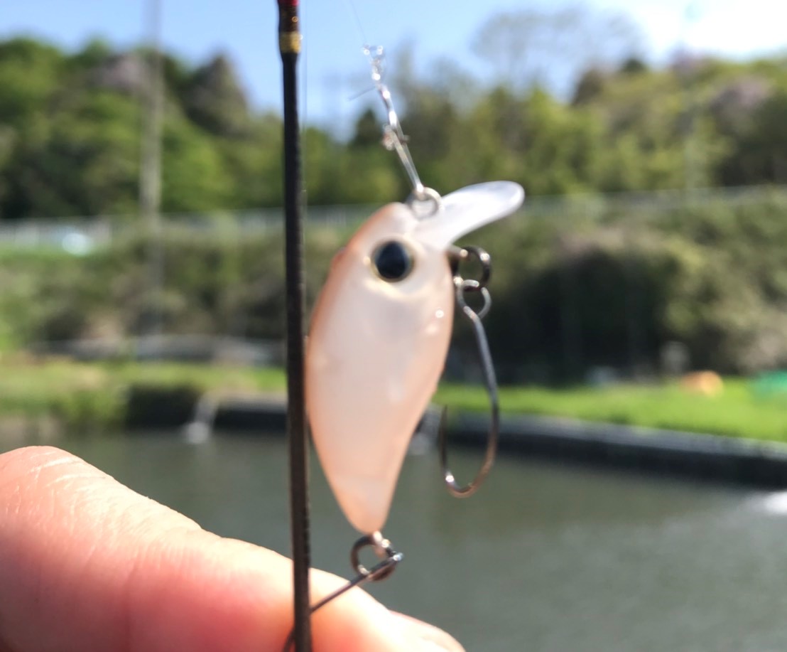 f:id:eternalsekai:20190505062201j:plain