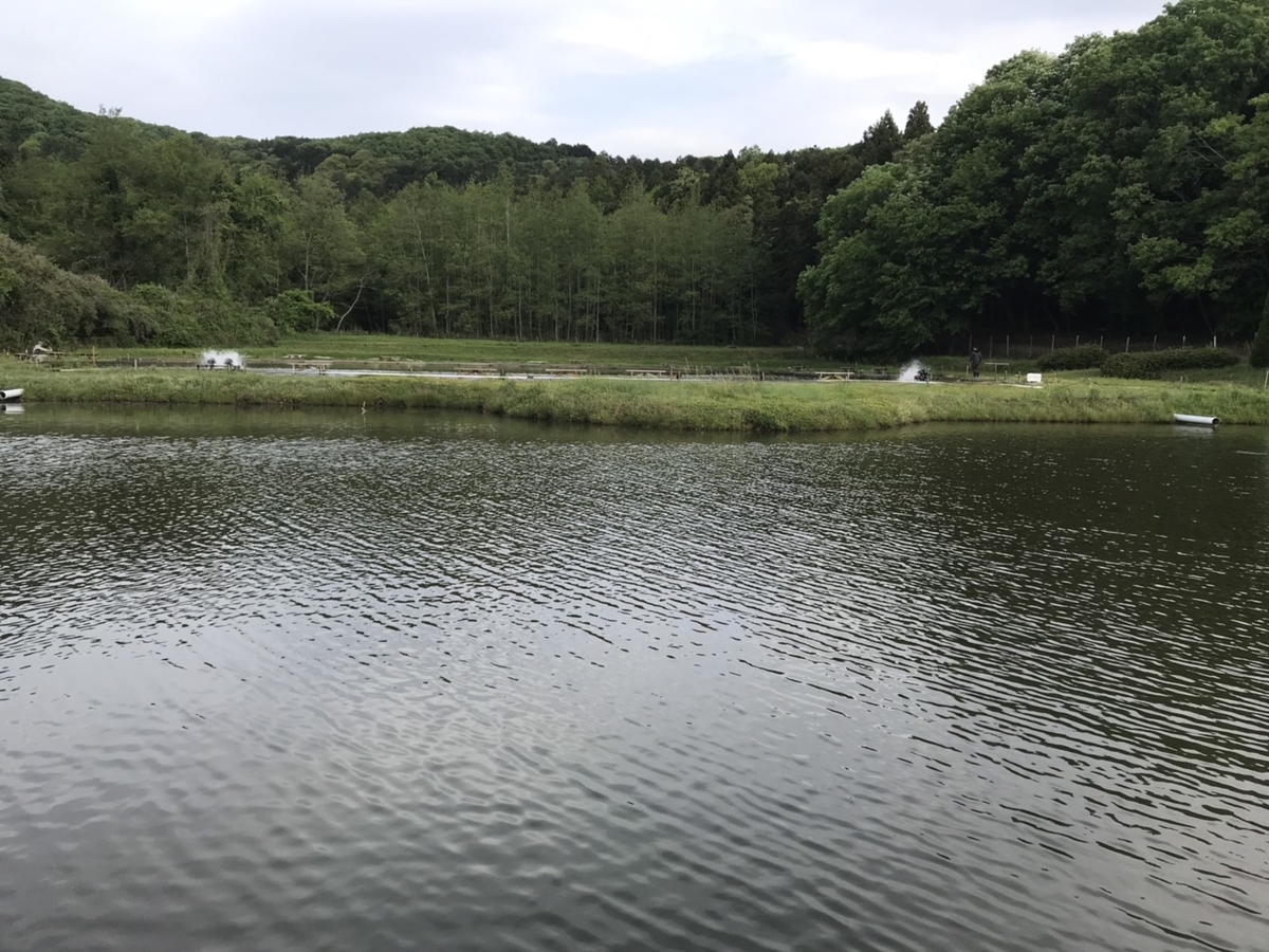 f:id:eternalsekai:20190506145021j:plain