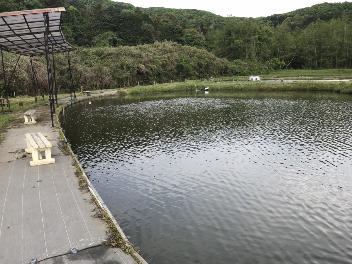 f:id:eternalsekai:20190506150347j:plain