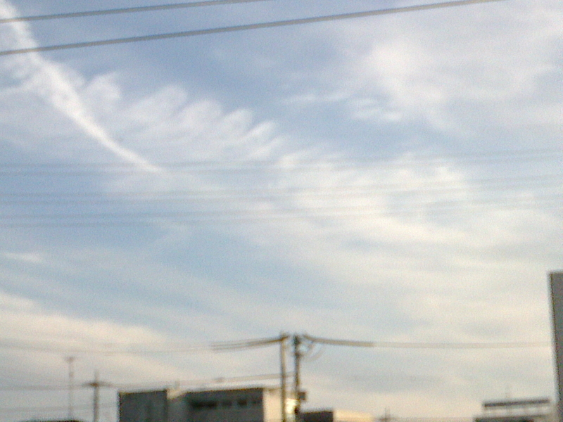 イメージ 12