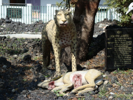 f:id:ethyl:20090215162743j:image