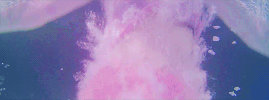 f:id:eto-kaiseki:20190205163823g:image