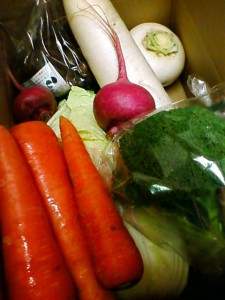 山本さん野菜 山本さん野菜