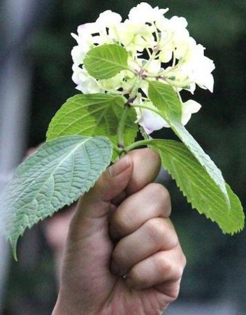 f:id:etranger3_01:20130715232329j:image