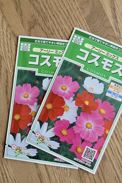 f:id:etsuko1026:20210519183240j:plain