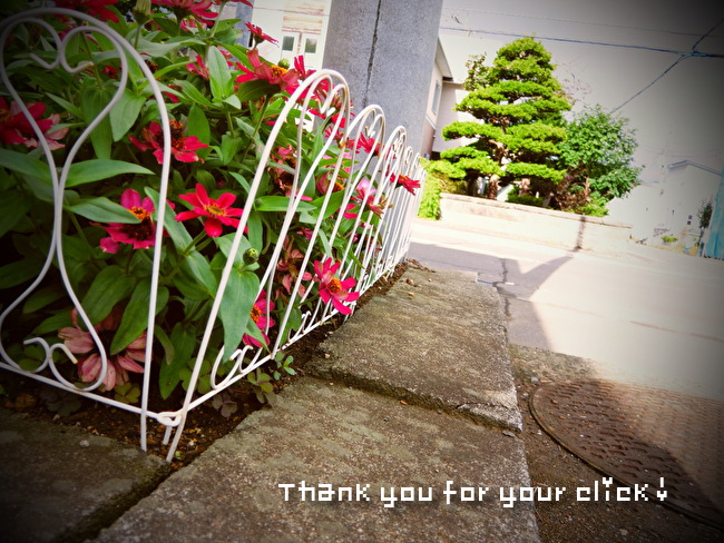 f:id:etsuko1026:20210904094121j:plain