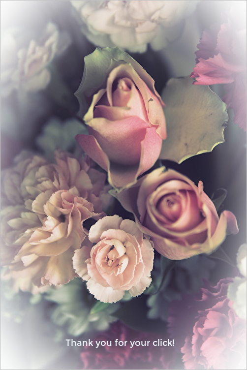 f:id:etsuko1026:20211111061902j:plain