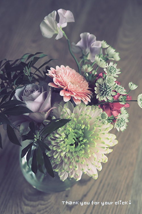 f:id:etsuko1026:20220130114331j:plain