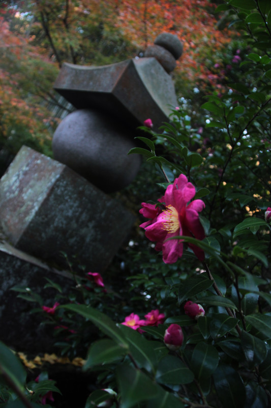 f:id:etsuroutanaka:20101205151156j:image