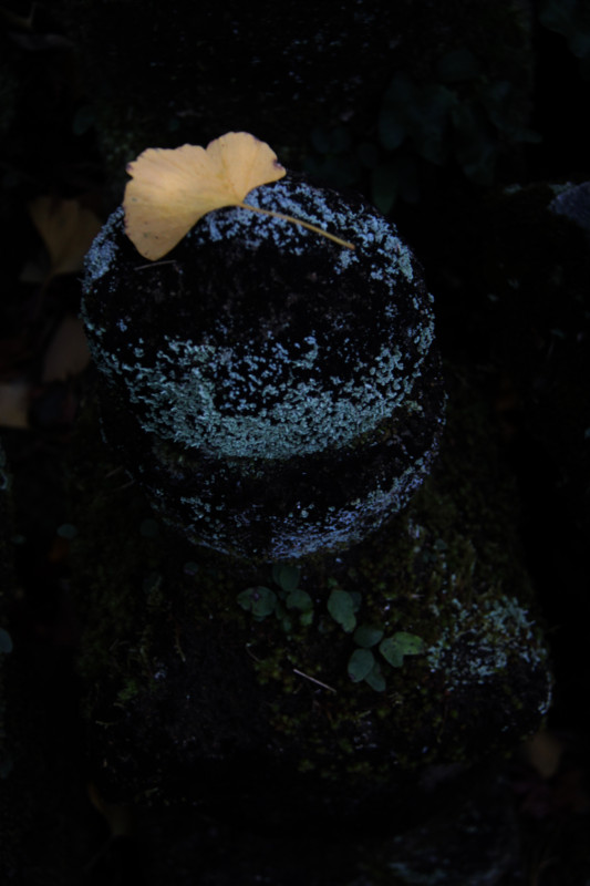 f:id:etsuroutanaka:20101205151239j:image