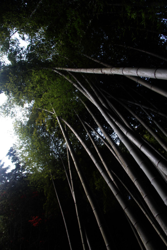 f:id:etsuroutanaka:20101205152731j:image