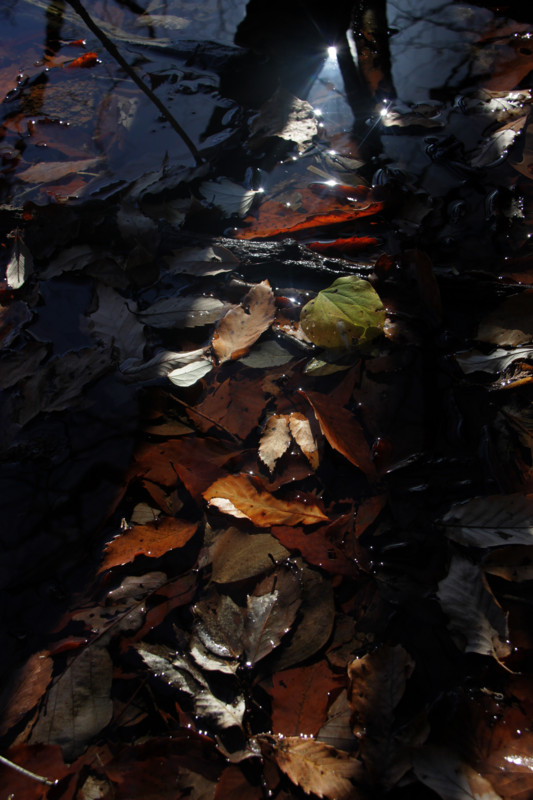 f:id:etsuroutanaka:20101225103153j:image