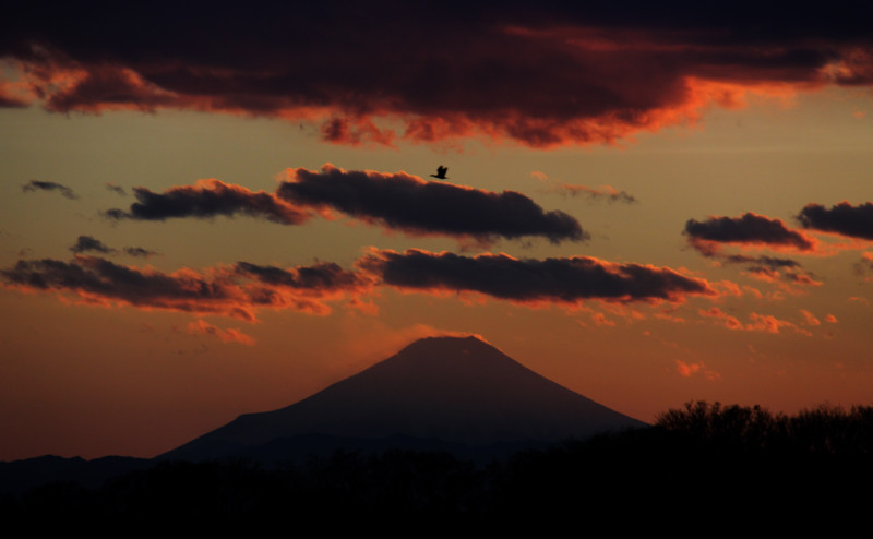 f:id:etsuroutanaka:20101229163335j:image