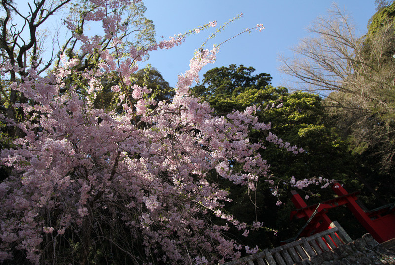 f:id:etsuroutanaka:20140405120653j:image