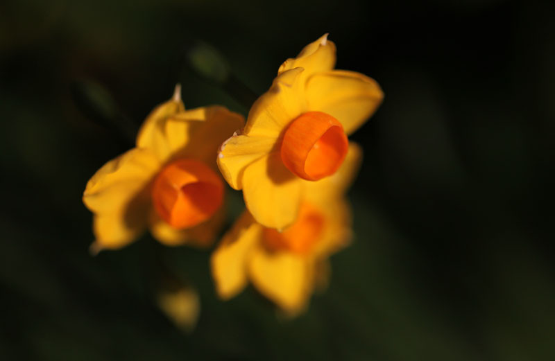 f:id:etsuroutanaka:20150119154858j:image