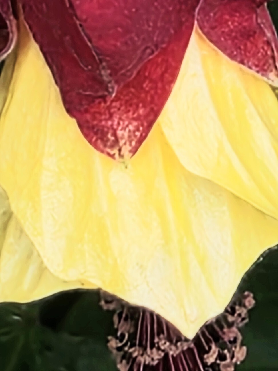 f:id:etsuroutanaka:20260628174136j:image