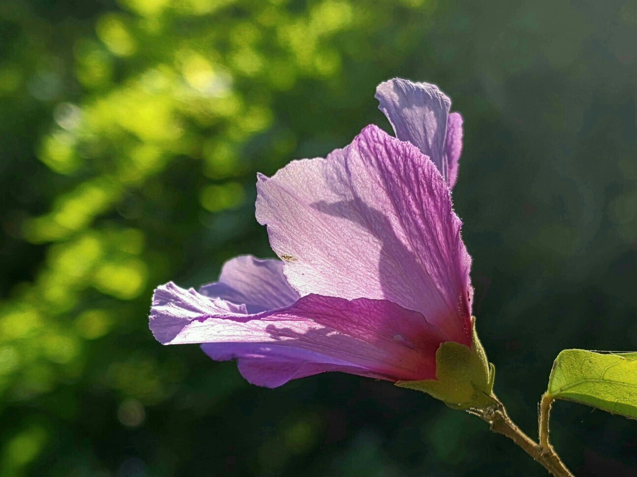 f:id:etsuroutanaka:20260809213501j:image