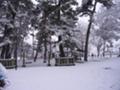 [place]雪の川中島古戦場