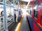 [リアスシーライナー]
