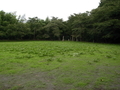 [福島県][相馬市]