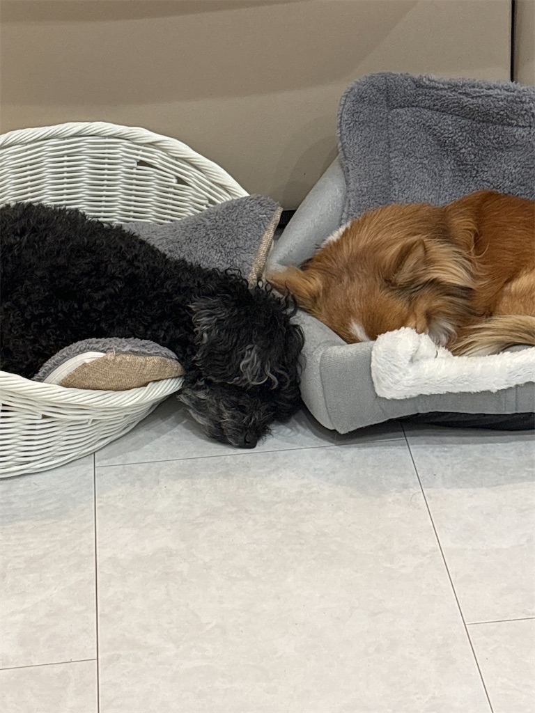 f:id:etuko0926:20240314003357j:image