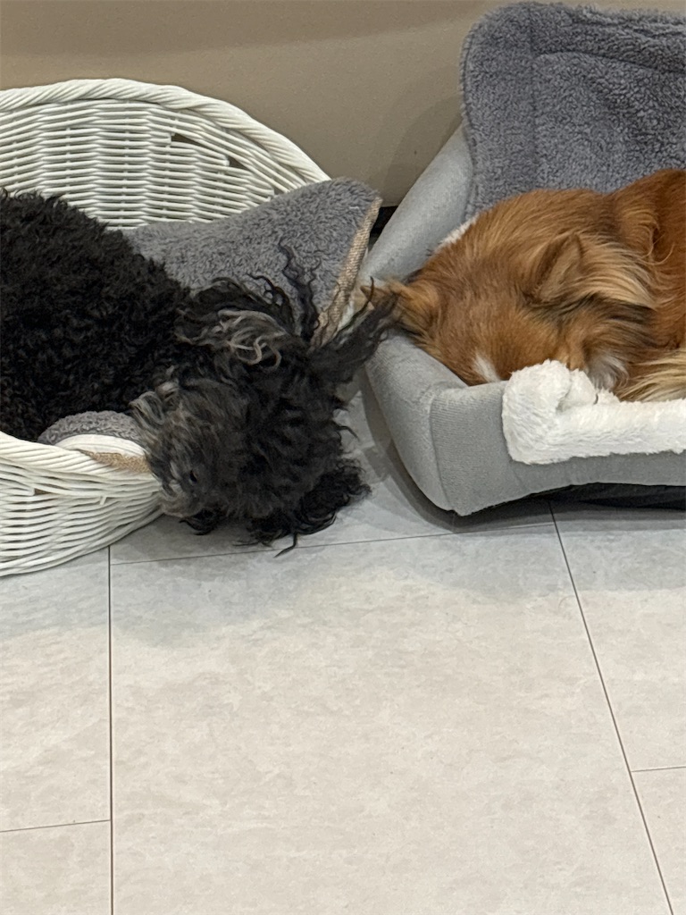 f:id:etuko0926:20240314003434j:image