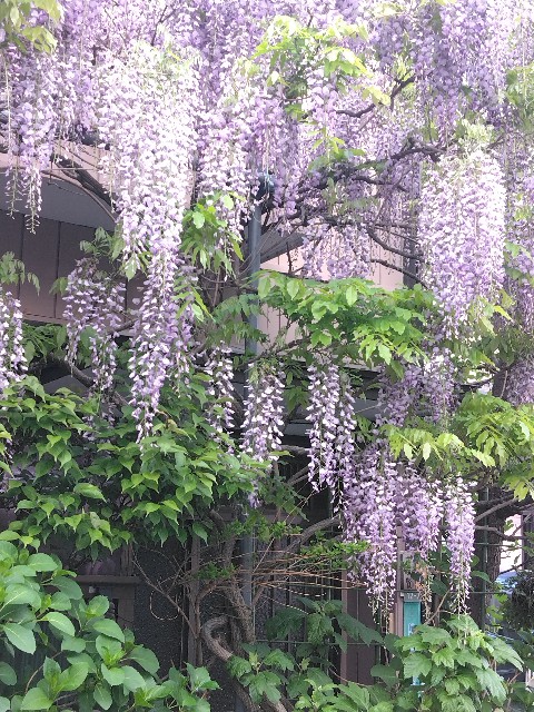 f:id:eu0328:20250423152535j:image
