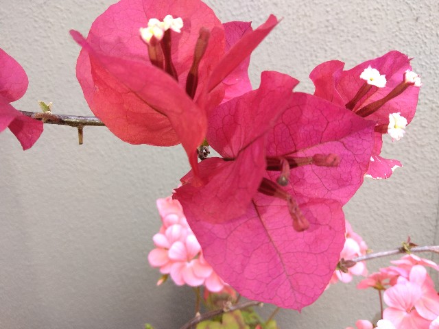 f:id:eu0328:20250608125924j:image