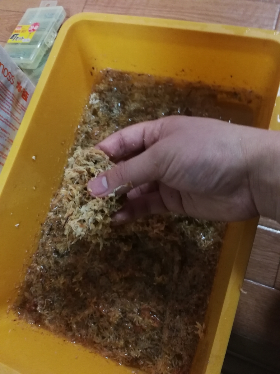 f:id:eubhw919:20190408075725j:plain f:id:eubhw919:20190408075725j:plain