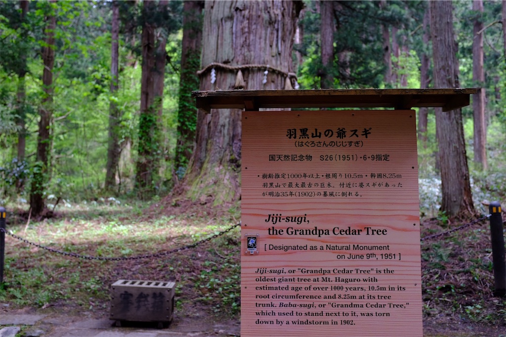 f:id:eucalyptus_gunnii:20180506171550j:image f:id:eucalyptus_gunnii:20180506171550j:image