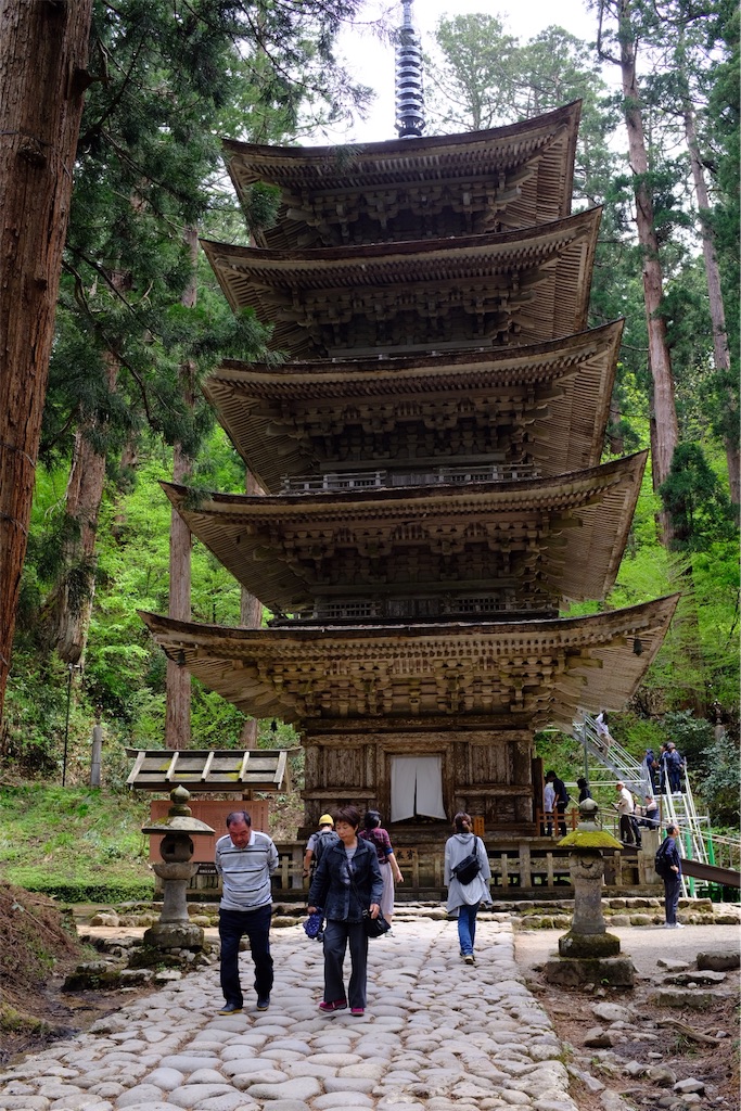 f:id:eucalyptus_gunnii:20180506171647j:image f:id:eucalyptus_gunnii:20180506171647j:image