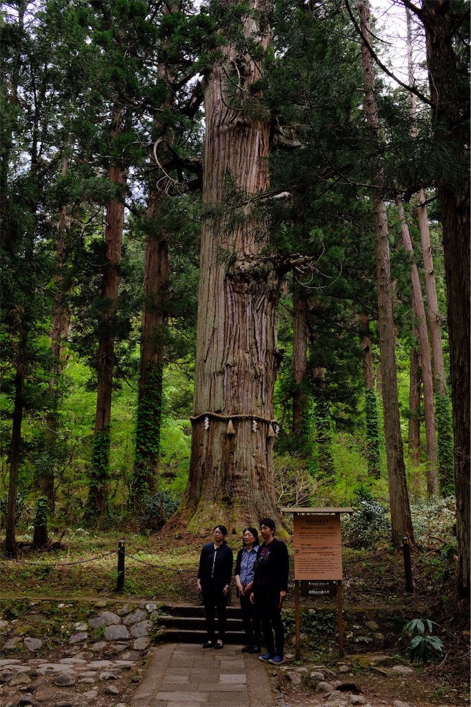 f:id:eucalyptus_gunnii:20180506172850j:image f:id:eucalyptus_gunnii:20180506172850j:image