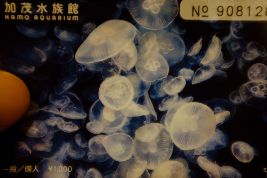 f:id:eucalyptus_gunnii:20180507194158j:plain f:id:eucalyptus_gunnii:20180507194158j:plain