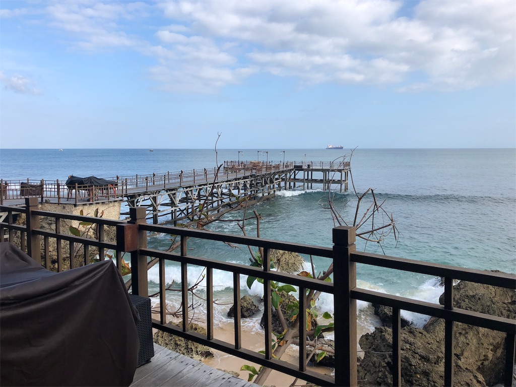 f:id:eucalyptus_gunnii:20180921174041j:image f:id:eucalyptus_gunnii:20180921174041j:image