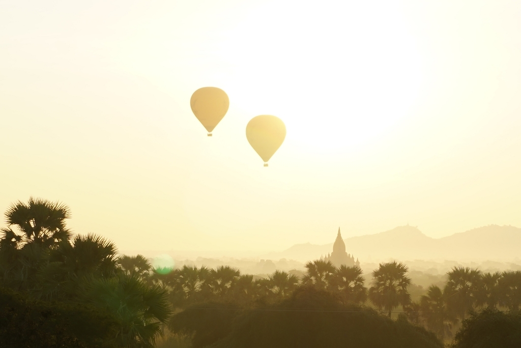 f:id:eucot:20190211204440j:plain f:id:eucot:20190211204440j:plain