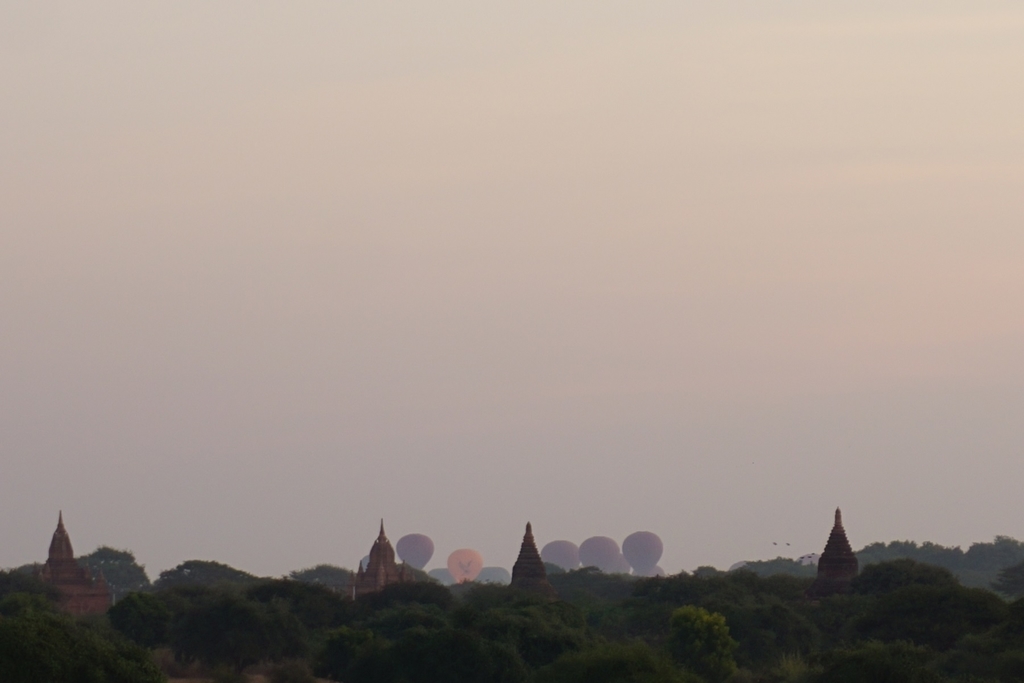 f:id:eucot:20190211205627j:plain f:id:eucot:20190211205627j:plain