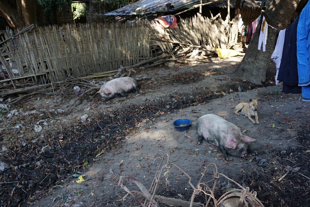 f:id:eucot:20190211211813j:plain f:id:eucot:20190211211813j:plain