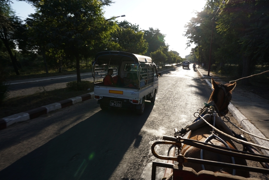 f:id:eucot:20190211221321j:plain f:id:eucot:20190211221321j:plain