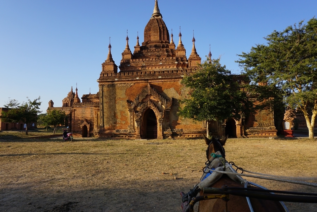 f:id:eucot:20190211221421j:plain f:id:eucot:20190211221421j:plain