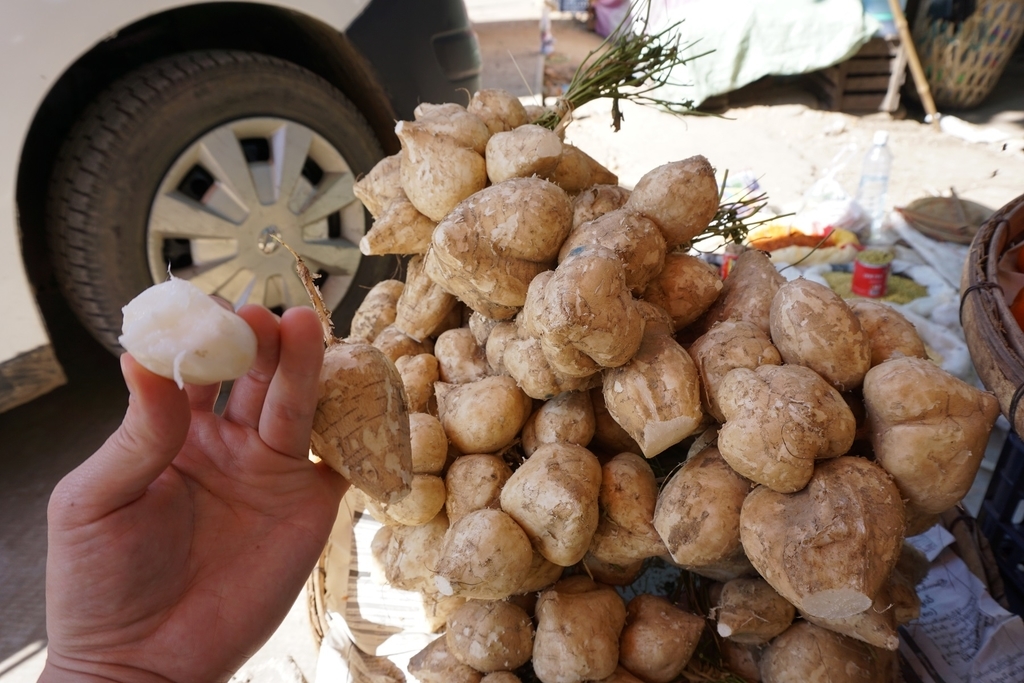 f:id:eucot:20190215050612j:plain f:id:eucot:20190215050612j:plain