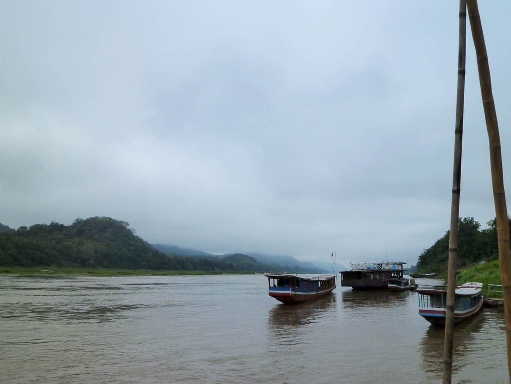 f:id:eucot:20190217214312j:plain f:id:eucot:20190217214312j:plain