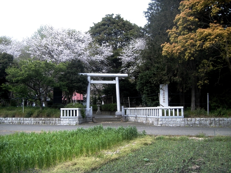 イメージ 1