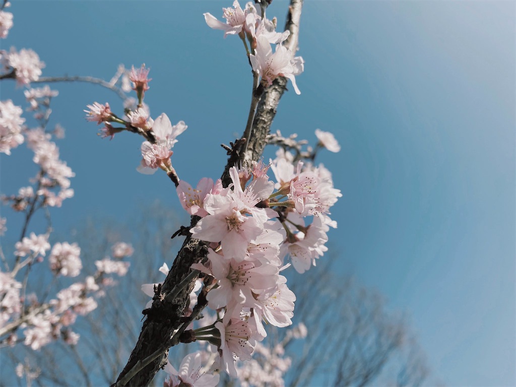 f:id:eup_xx:20200322212313j:image f:id:eup_xx:20200322212313j:image