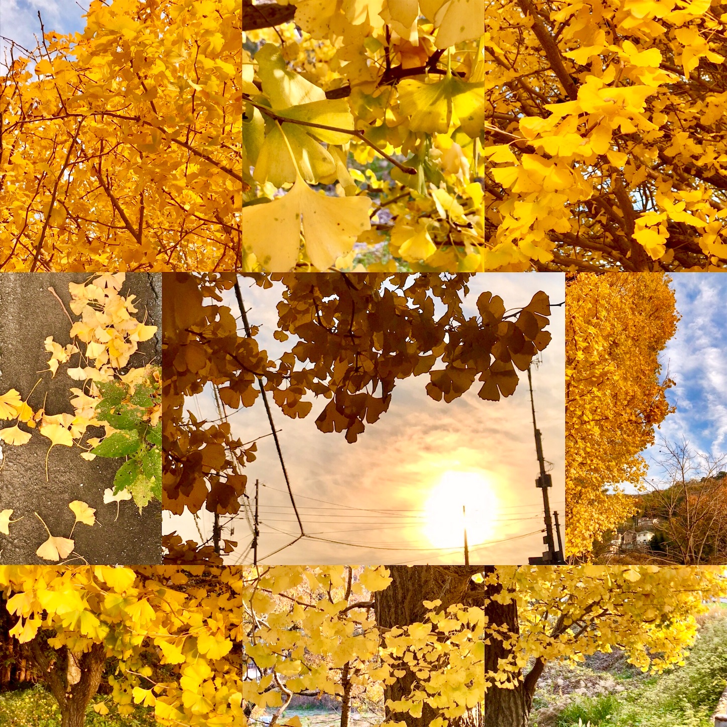 f:id:eureka_no_yuuutsu:20201228001604j:image