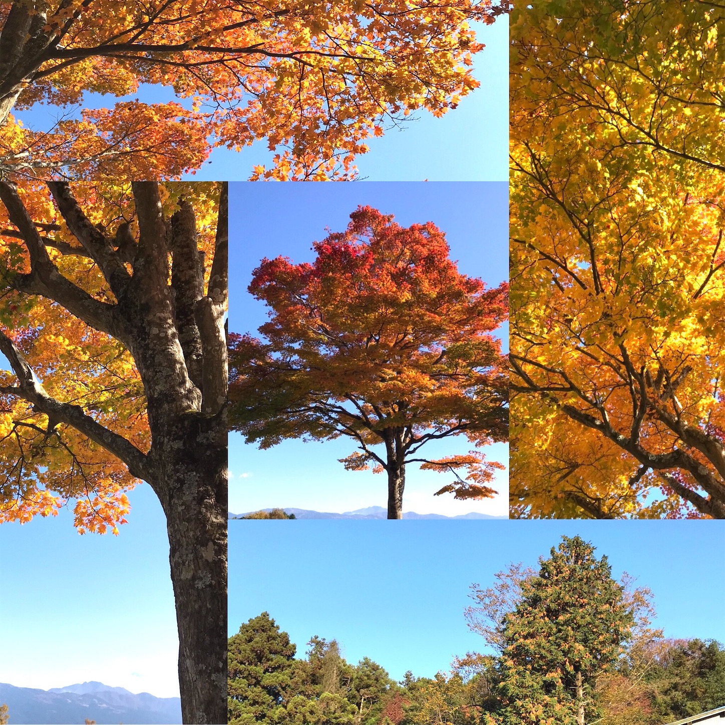 f:id:eureka_no_yuuutsu:20201228001629j:image