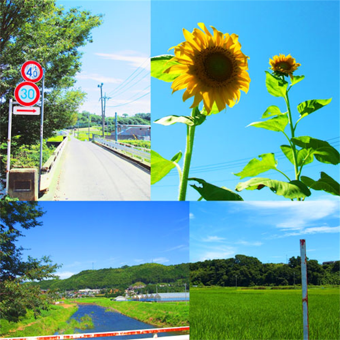 f:id:eureka_no_yuuutsu:20220831004054j:image